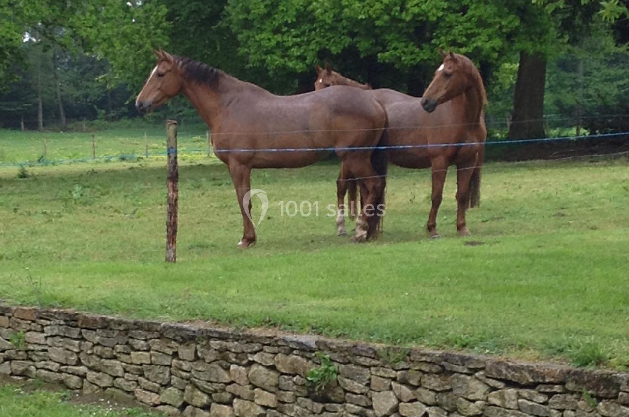 Domaine de la Ferrière - galerie - photo 7
