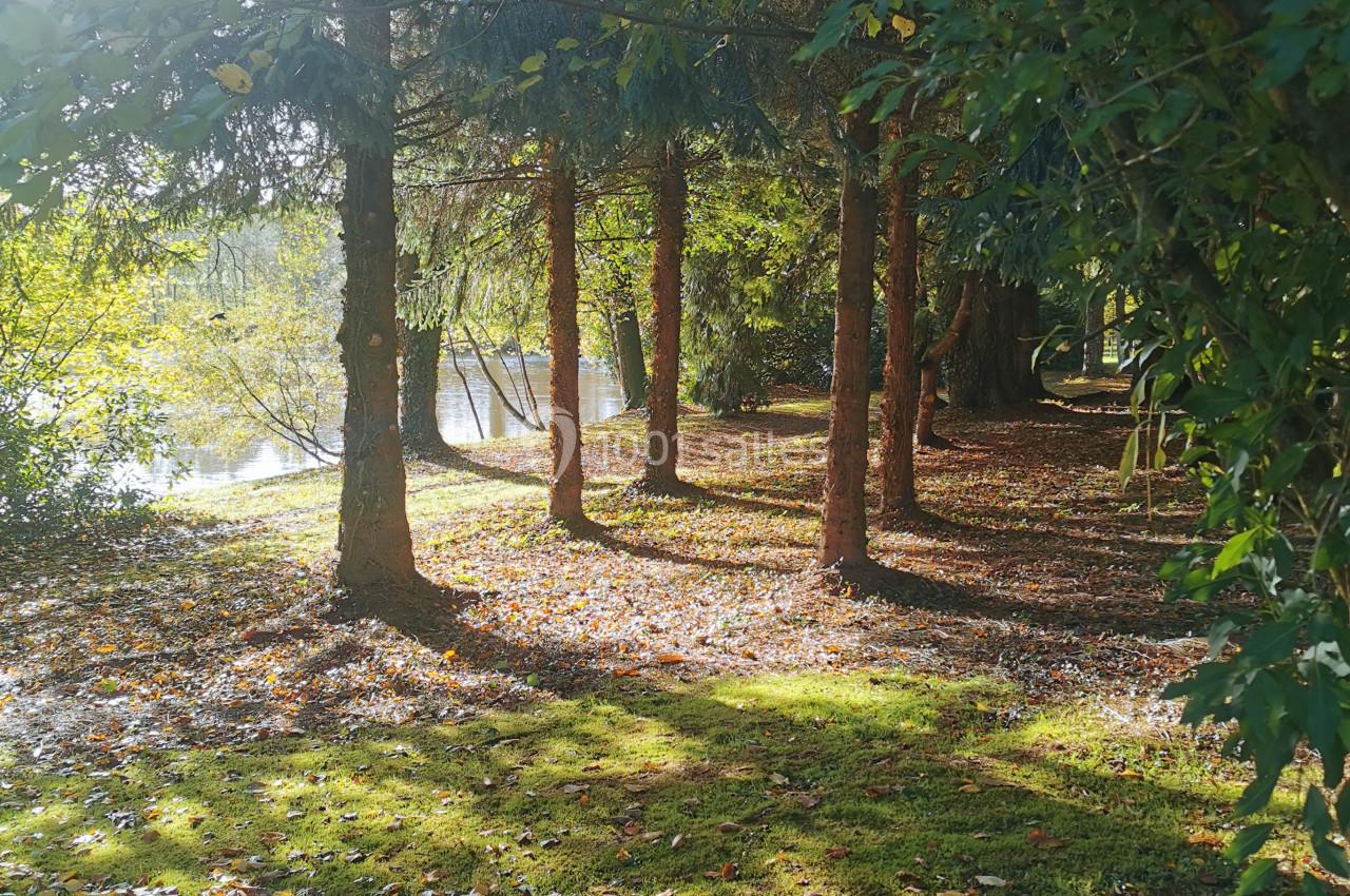 Domaine de la Ferrière - galerie - photo 19