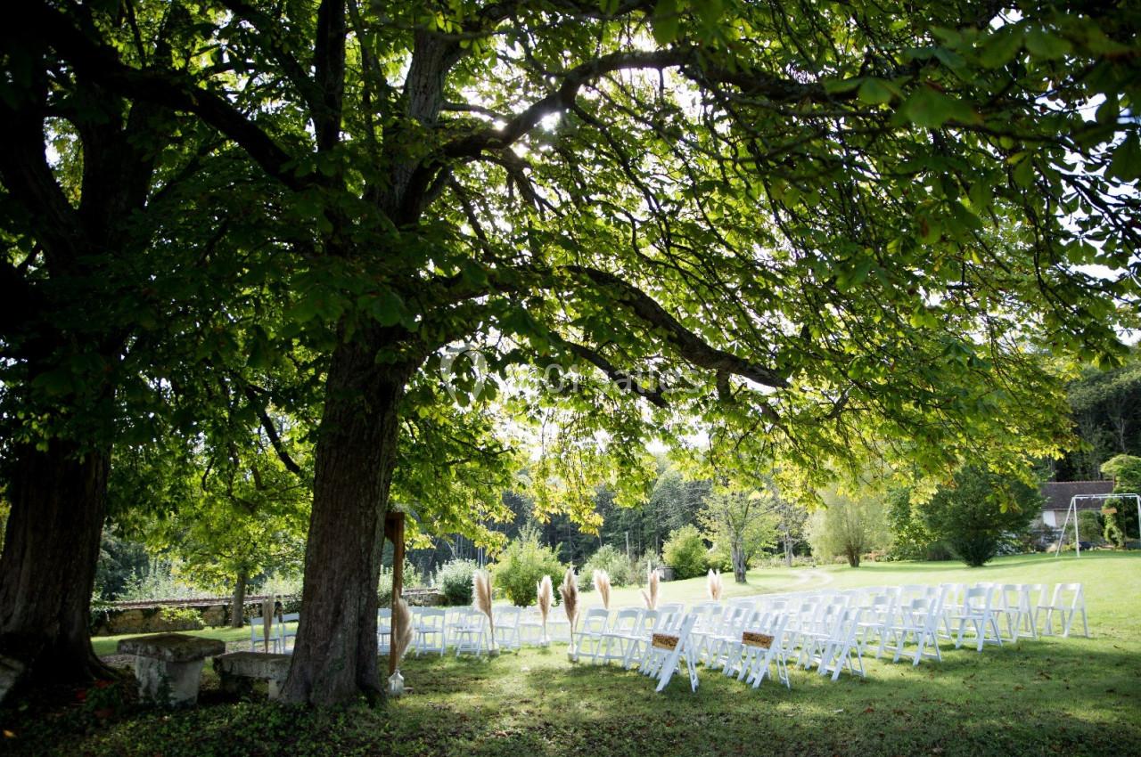Location salle Wy-dit-Joli-Village (Val-d'Oise) - Château d'Hazeville #27 Chaises blanches disposées en rangées sous de grands arbres dans un jardin verdoyant, préparées pour un événement en plein…