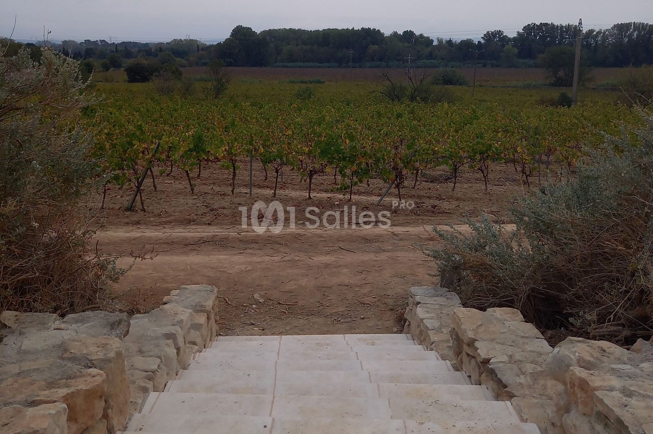 Domaine Saint Augustin  - galerie - photo 15