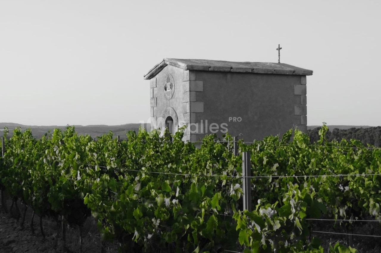 Domaine Saint Augustin  - galerie - photo 13