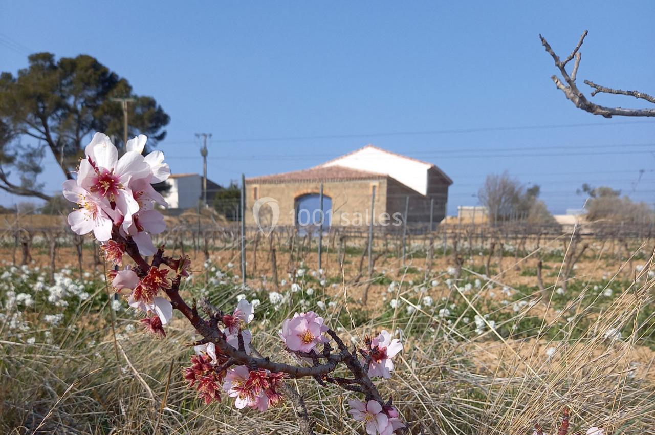 Domaine Saint Augustin  - galerie - photo 12