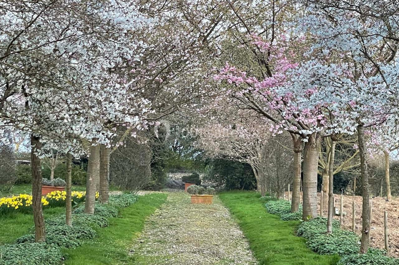 Location salle Chemilli (Orne) - Jardins du Montperthuis #38