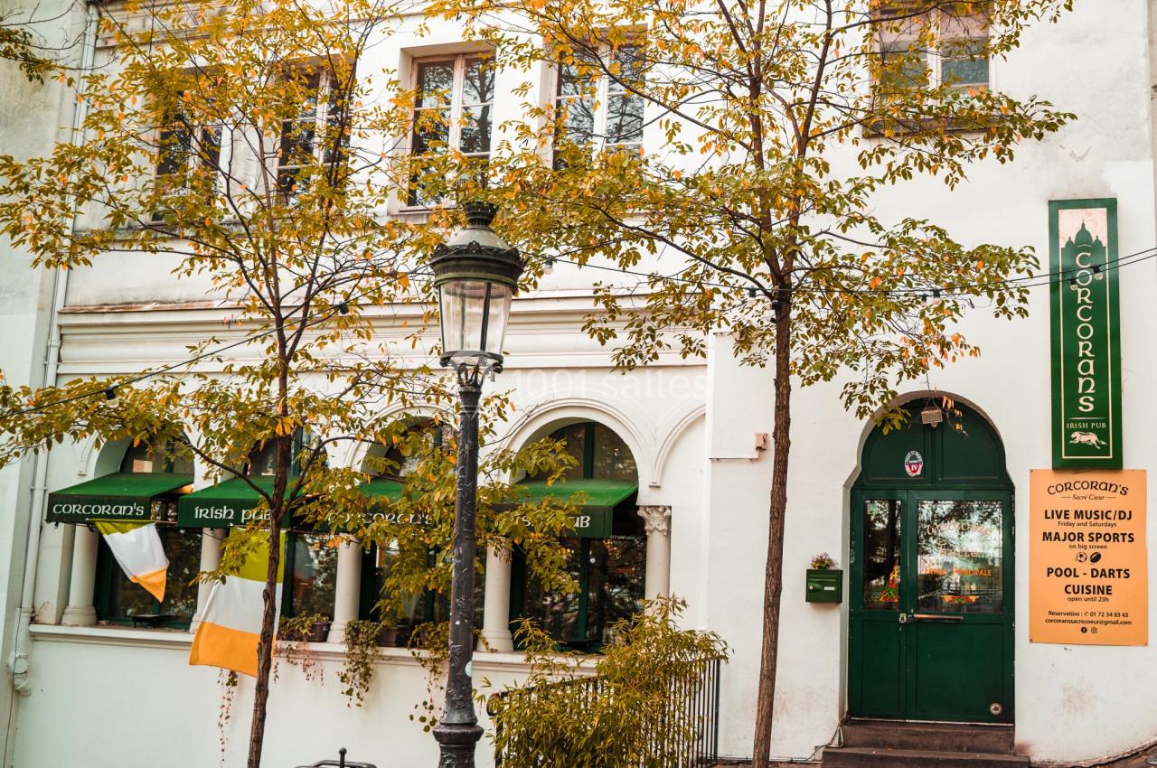 Façade d'un pub irlandais avec enseignes vertes, drapeau irlandais et arbres aux feuilles d'automne.