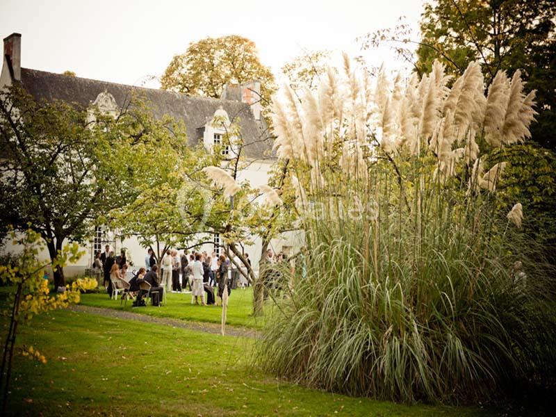 Jardin avec des herbes de la pampa au premier plan, des arbres et une maison ancienne en arrière-plan.