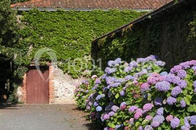 Miniature Location salle La Chapelle-Heulin (Loire-Atlantique) - Château Cassemichère #29 Rangées de tonneaux en bois alignés dans une cave voûtée avec éclairage tamisé.