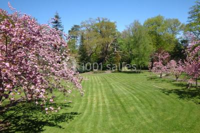 Miniature Location salle La Chapelle-Heulin (Loire-Atlantique) - Château Cassemichère #30 Rangées de tonneaux en bois alignés dans une cave voûtée avec éclairage tamisé.