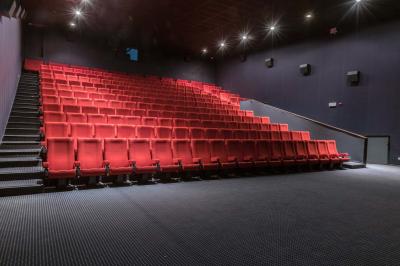 Plateau de verres à pied remplis de champagne pétillant, disposés pour un événement ou une réception.