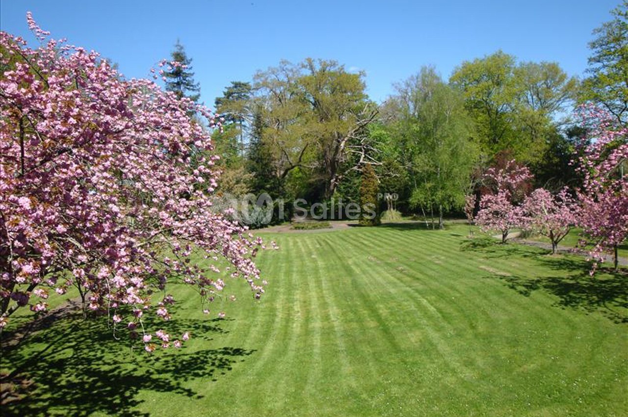 Pelouse verte entourée d'arbres et de cerisiers en fleurs dans un parc sous un ciel dégagé.