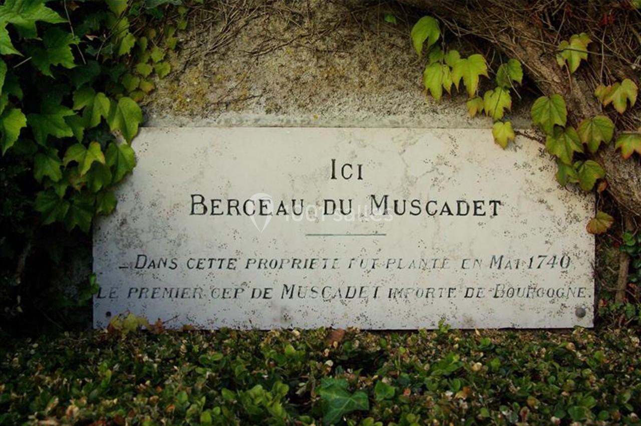 Plaque en pierre indiquant l'origine du Muscadet, entourée de feuillage et posée contre un mur.