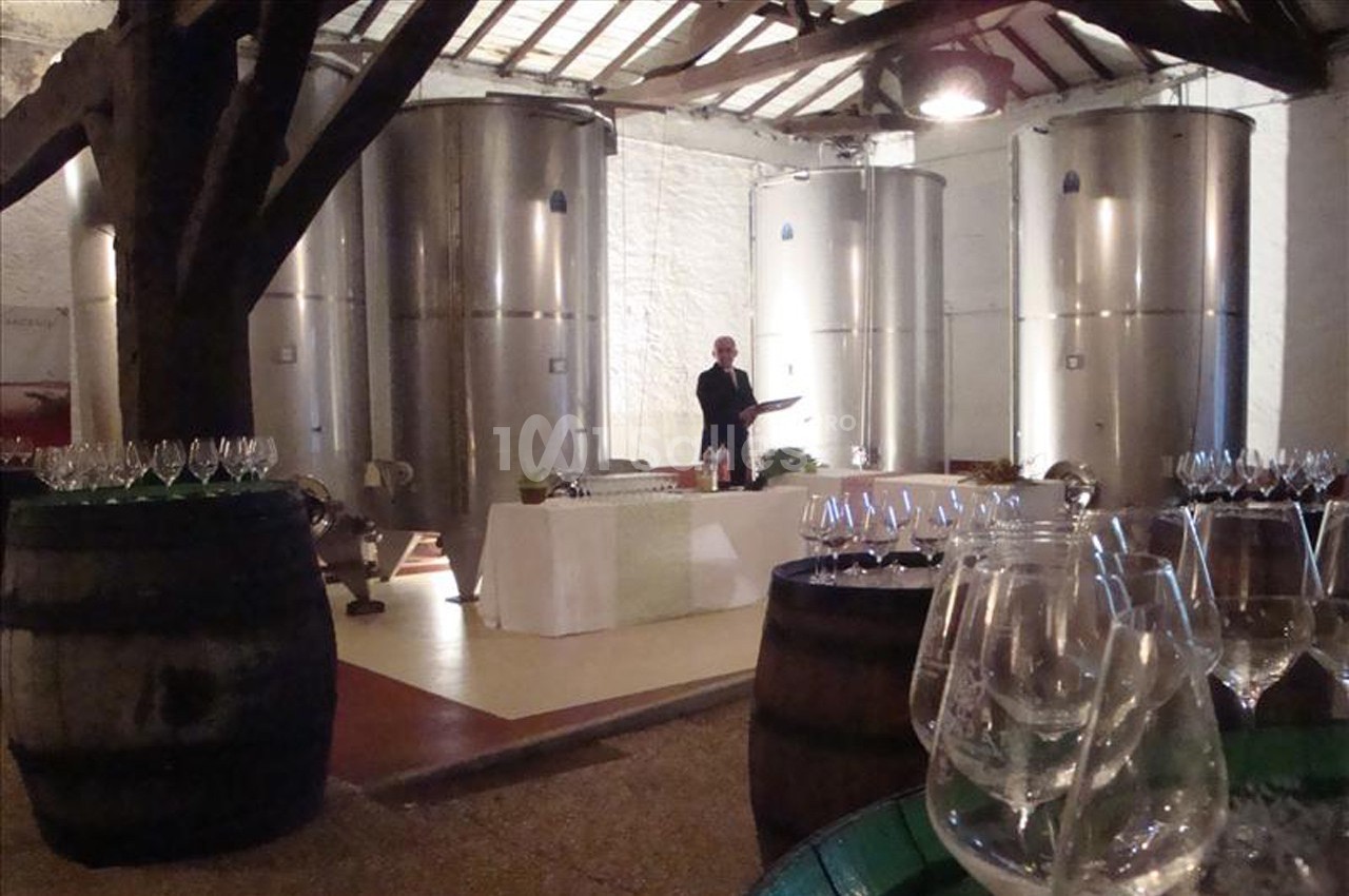 Salle de dégustation avec des cuves en inox, des tables dressées et des verres posés sur des tonneaux en bois.