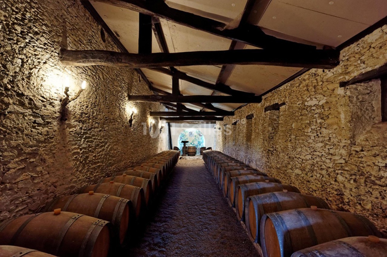 Salle voûtée en pierre avec des rangées de tonneaux en bois alignés sur un sol en gravier.