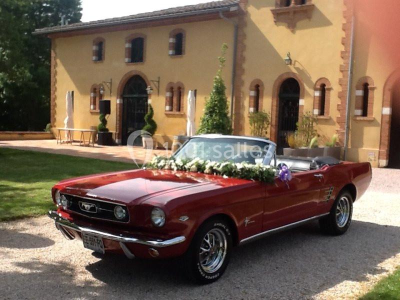 Location salle Montoussin (Haute-Garonne) - Domaine de Montoussin #3