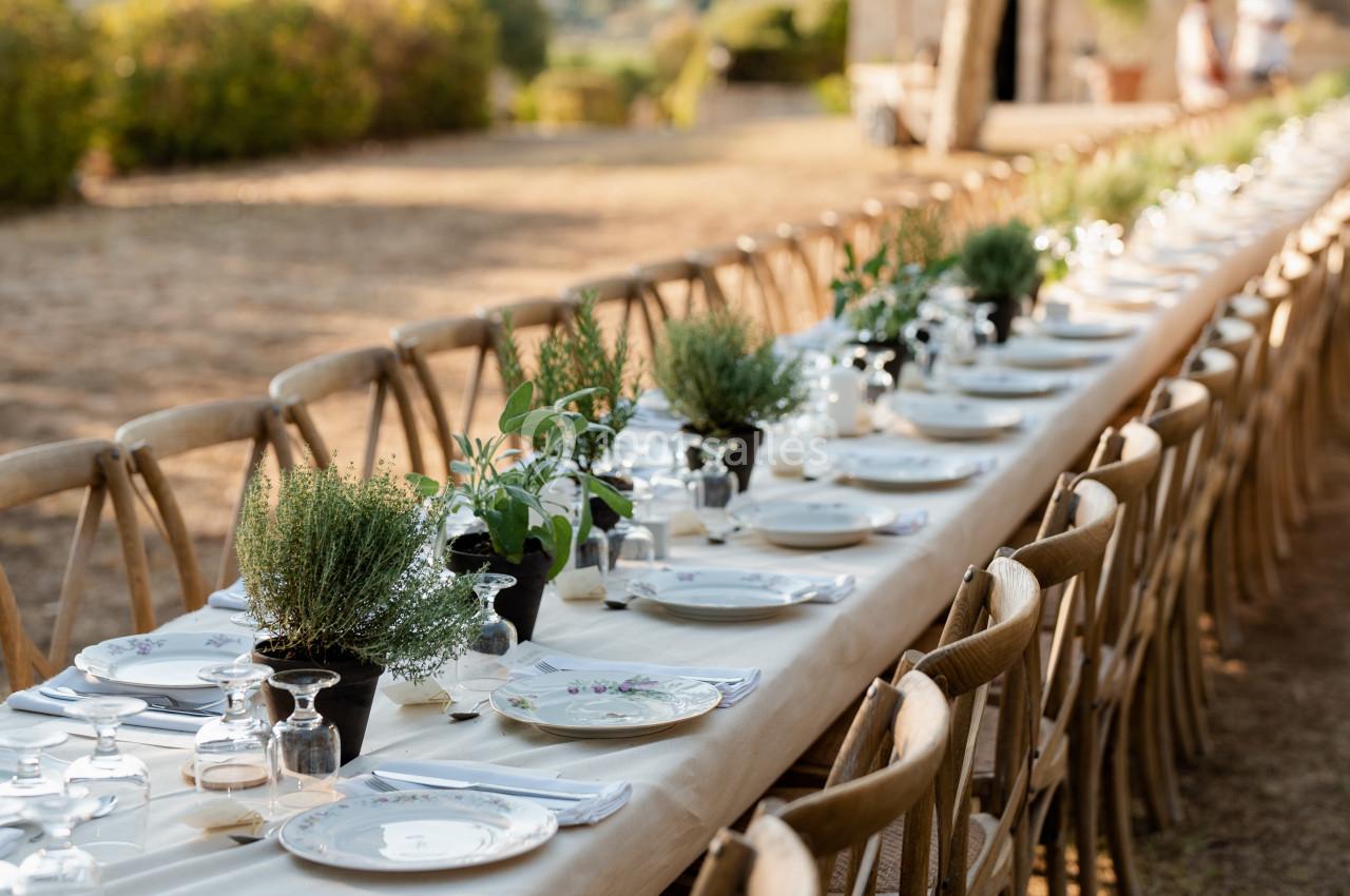 Verveine en Provence - galerie - photo 20