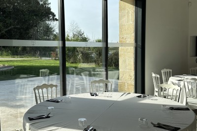 Grand arbre au centre d'un jardin verdoyant, avec une maison en pierre et une allée gravillonnée en arrière-plan.