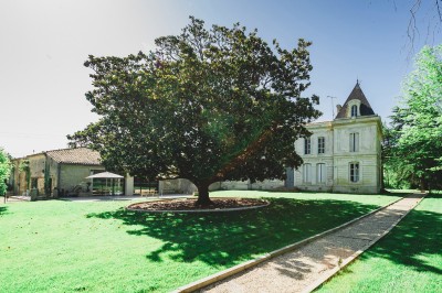 Grand arbre au centre d'un jardin verdoyant, avec une maison en pierre et une allée gravillonnée en arrière-plan.