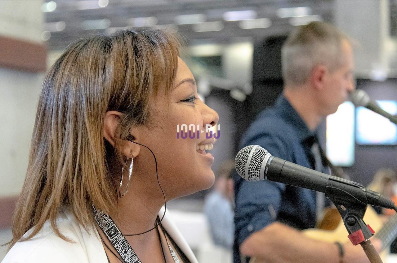 DJ Le Perreux-sur-Marne (Val-de-Marne) - Artmove Musiker #4