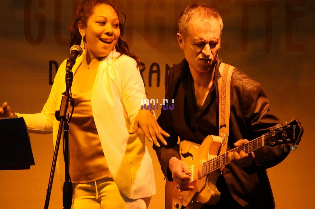 DJ Le Perreux-sur-Marne (Val-de-Marne) - Artmove Musiker #2