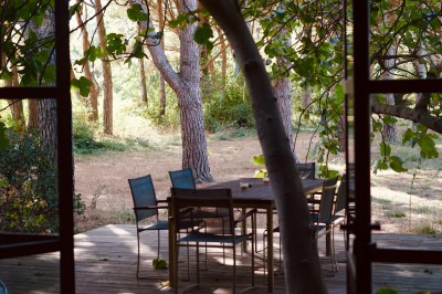 Waya - photo 3