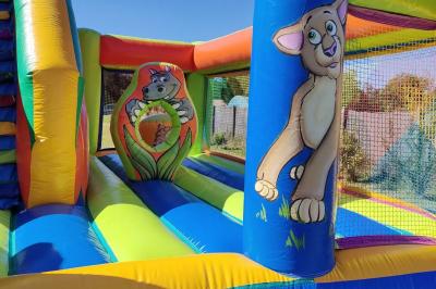 Miniature Le Rallye Loc #11 Structure gonflable jungle avec animaux et toboggan, entourée de feuilles, avec détails de location et caractéristiques.