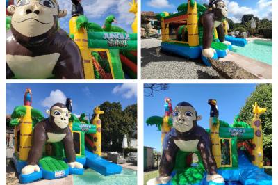 Miniature Le Rallye Loc #16 Structure gonflable jungle avec animaux et toboggan, entourée de feuilles, avec détails de location et caractéristiques.