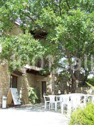 Domaine La Chapelle - galerie - photo 6