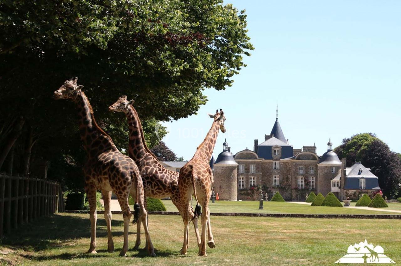 Domaine de la Bourbansais - galerie - photo 1