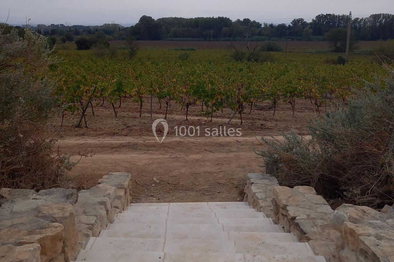 Domaine Saint Augustin - galerie - photo 29