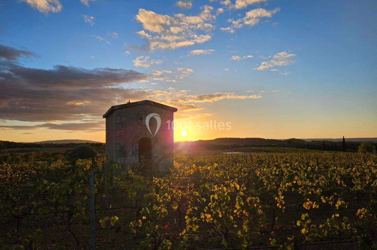 Domaine Saint Augustin - galerie - photo 21