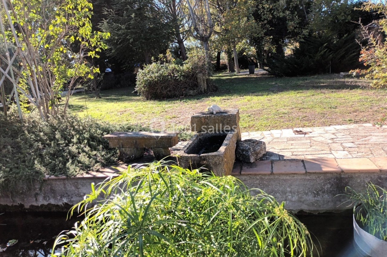 Petit bassin en pierre entouré de végétation, situé dans un jardin ensoleillé avec des arbres en arrière-plan.