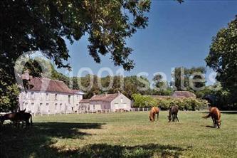 Abbaye De Cercanceaux - galerie - photo 8