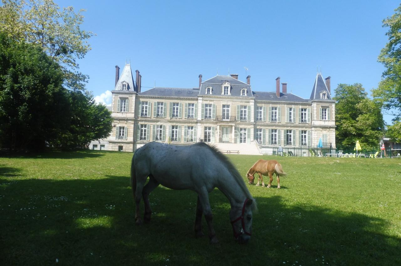 Château de L'Armançon - galerie - photo 1