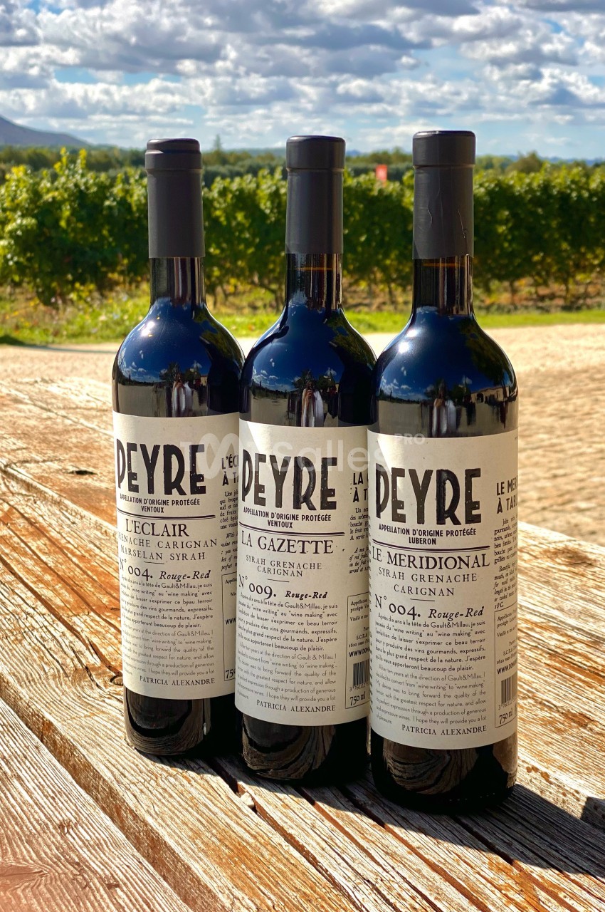 Trois bouteilles de vin rouge posées sur une table en bois, avec des vignes et un paysage en arrière-plan.