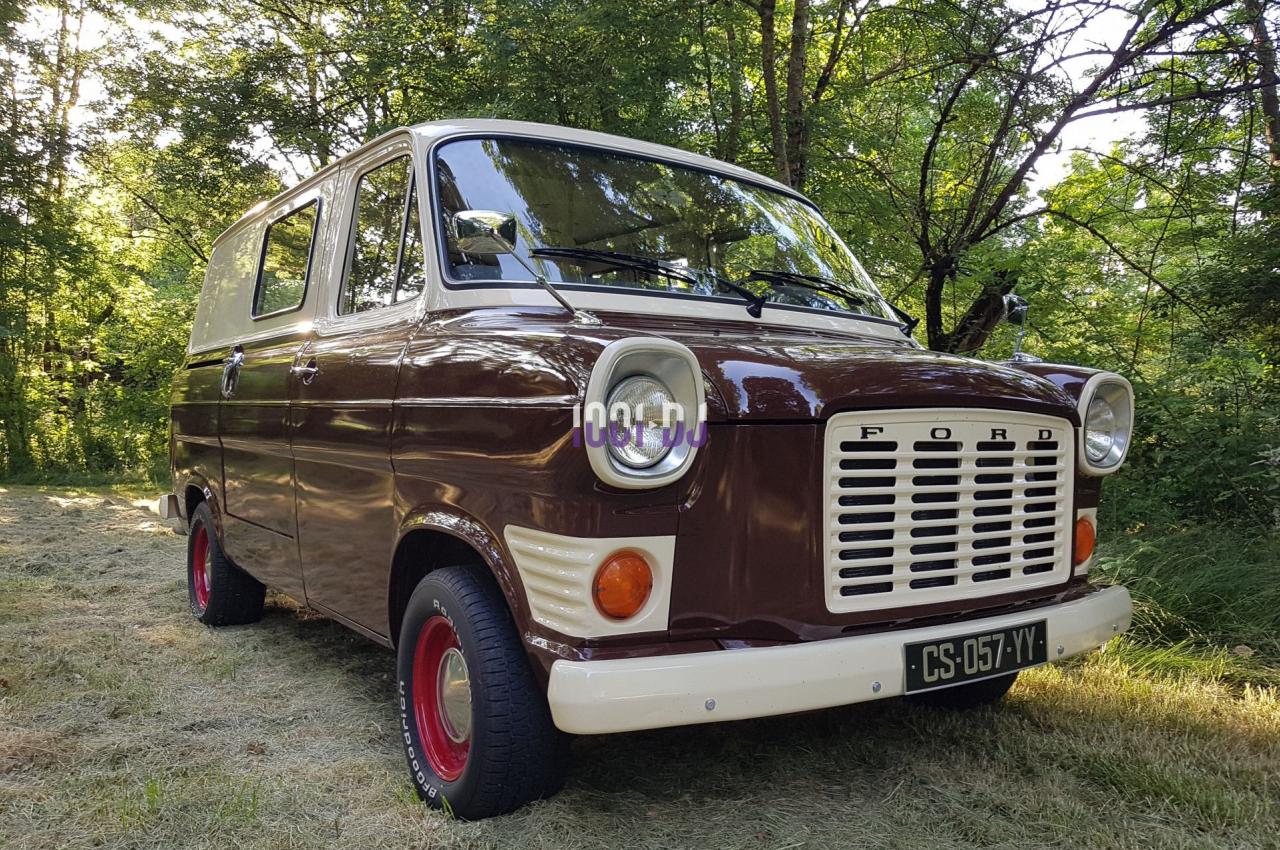 Un van vintage Ford marron et blanc stationné sur une pelouse, entouré d'arbres en arrière-plan.