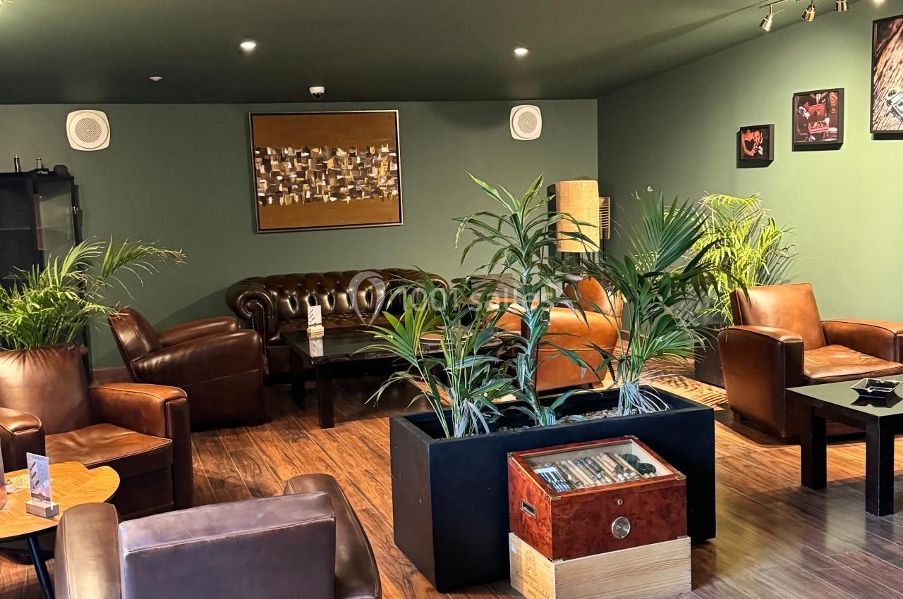 Salon chaleureux avec fauteuils en cuir, plantes vertes, parquet en bois et éclairage tamisé.