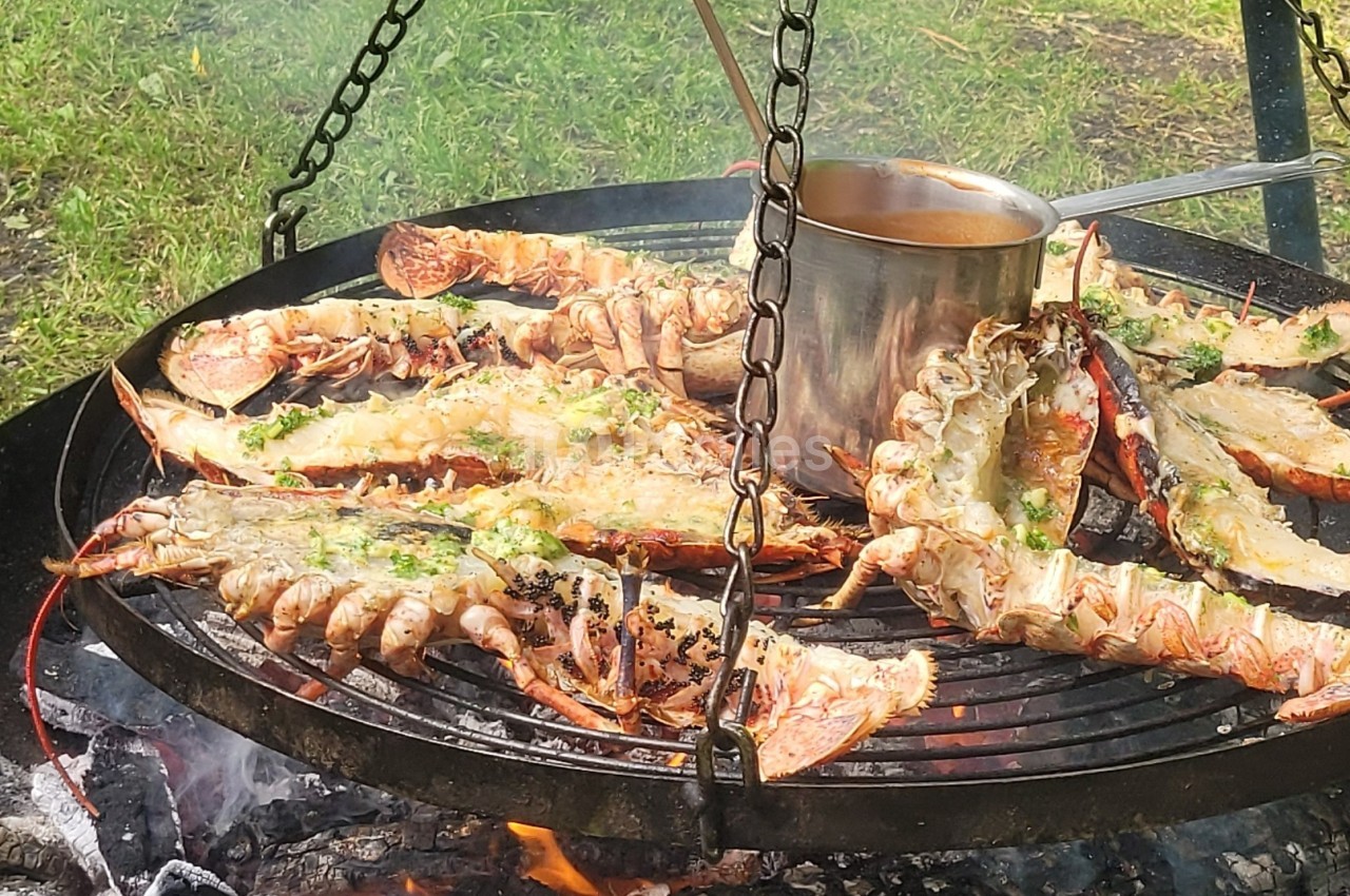Homards grillés sur un barbecue suspendu au-dessus d'un feu de bois, avec une casserole en métal au centre.