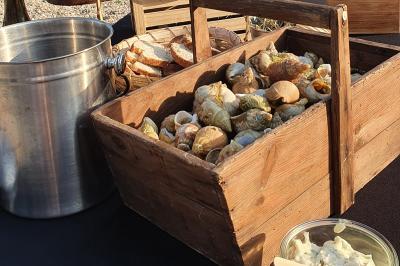 Plateau de légumes croquants, dips et charcuterie disposés sur une table en extérieur, avec des décorations végétales.