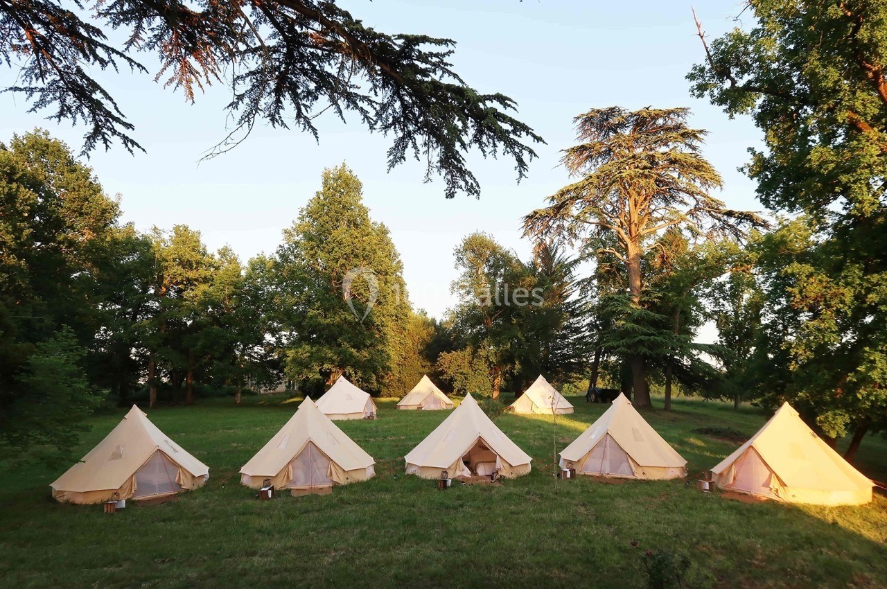 Tentes en toile installées dans une clairière verdoyante entourée d'arbres sous une lumière douce.