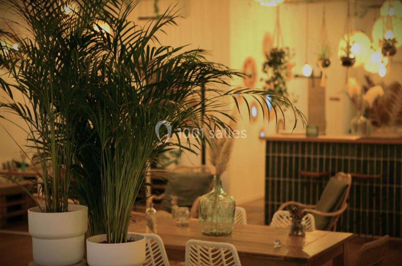 Plantes en pot sur une table en bois dans un intérieur chaleureux avec éclairage tamisé et décor végétal.