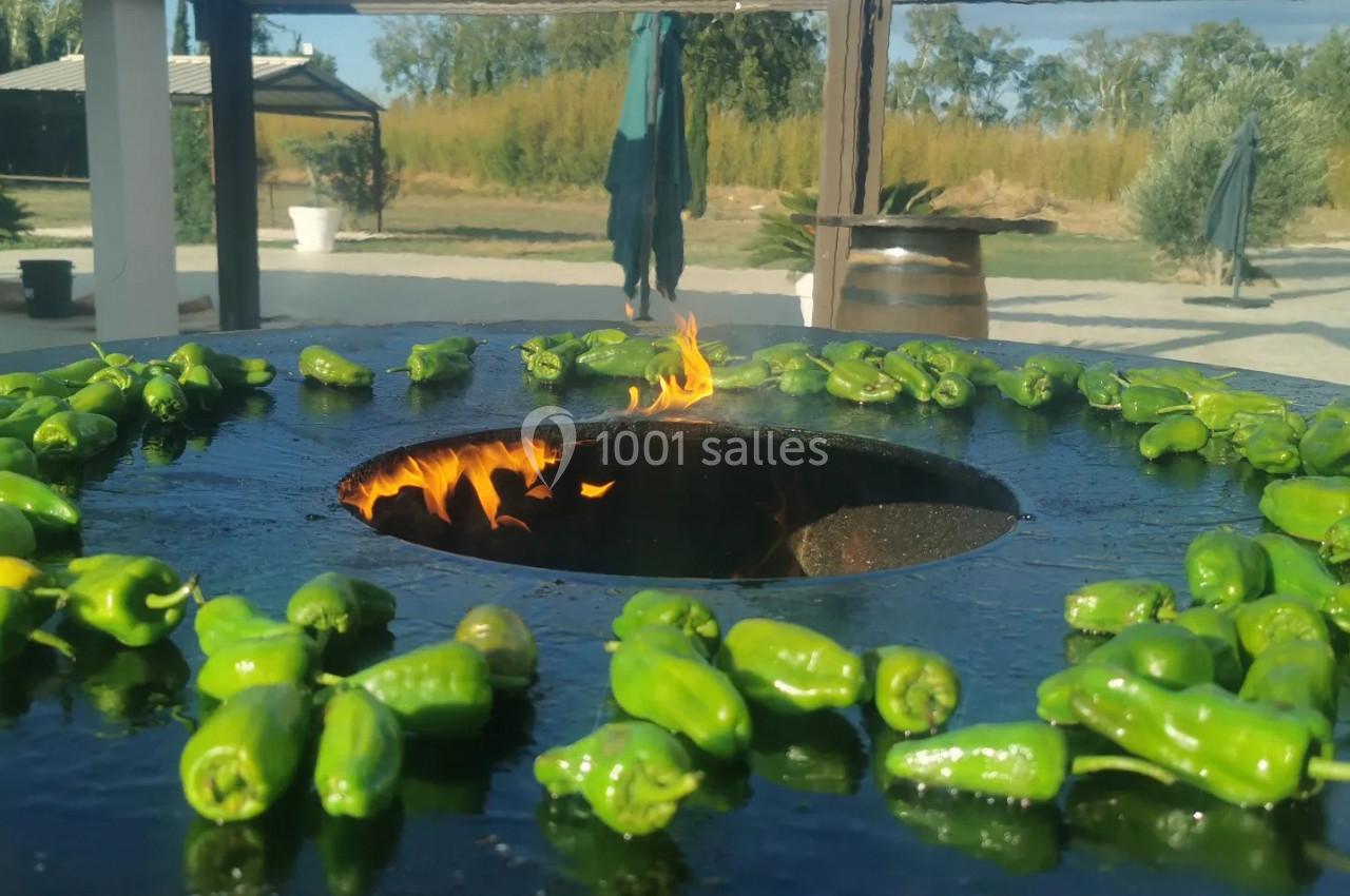 Location salle Toulouges (Pyrénées-Orientales) - Mas de La Secade #13