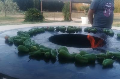 Miniature Location salle Toulouges (Pyrénées-Orientales) - Mas de La Secade #15 Location salle Toulouges (Pyrénées-Orientales) - Mas de La Secade #34