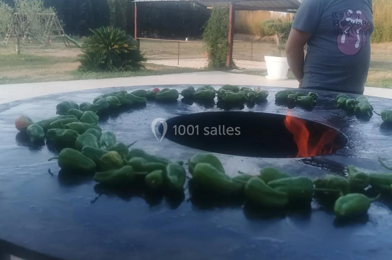 Location salle Toulouges (Pyrénées-Orientales) - Mas de La Secade #15