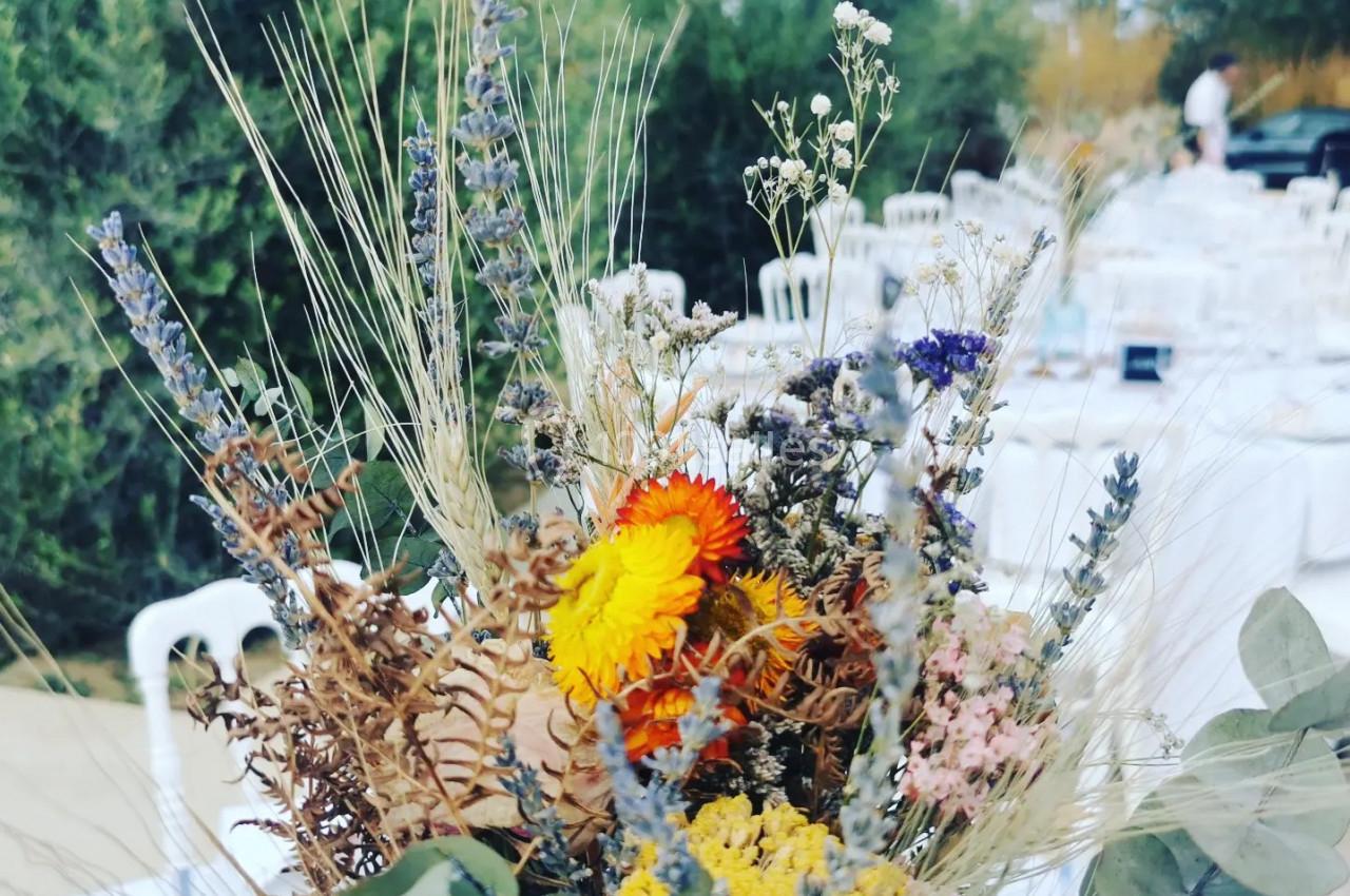 Location salle Toulouges (Pyrénées-Orientales) - Mas de La Secade #20