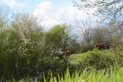 Miniature Location salle Carentan (Manche) - Domaine de Saint Vigor #11 Location salle Carentan (Manche) - Domaine de Saint Vigor #20