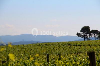 Château de Berne - photo 5