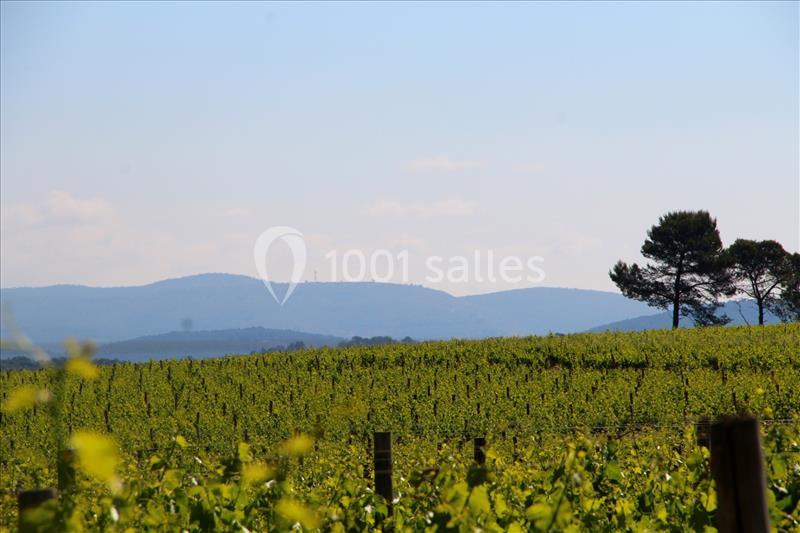Château de Berne - galerie - photo 5