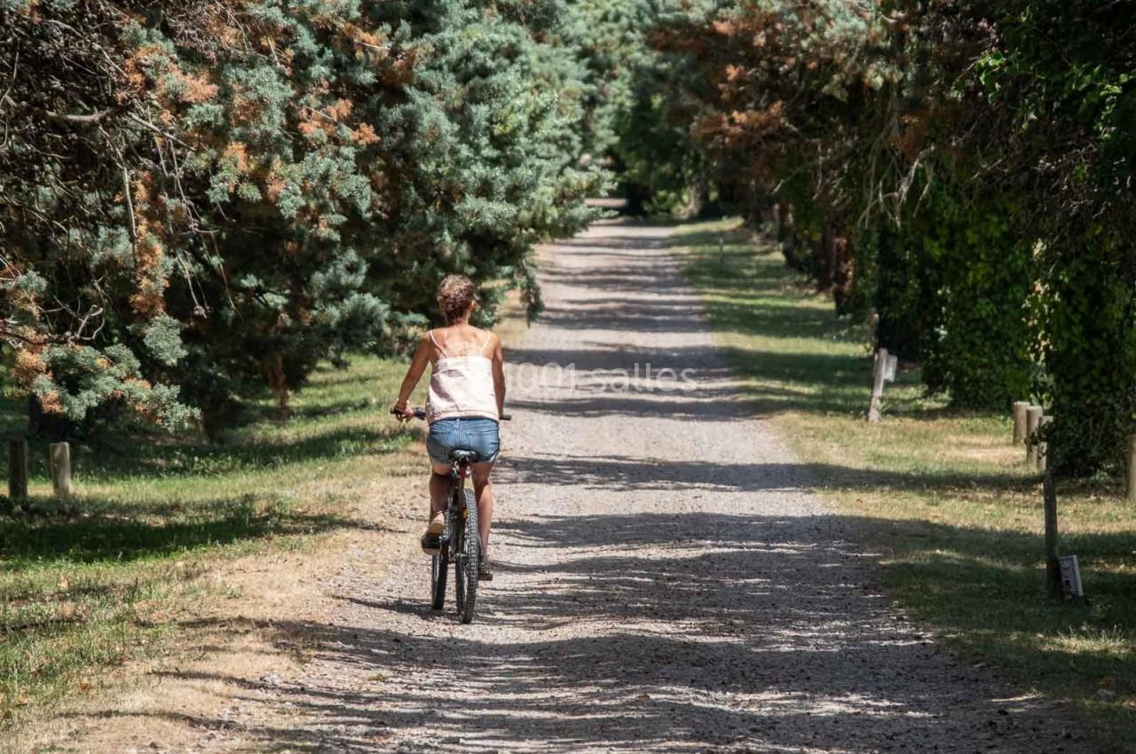Une femme à vélo sur un chemin de terre bordé d'arbres et de verdure.