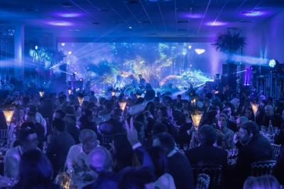 Night and Dream Night and Dream