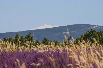 Miniature Location salle Saint-Trinit (Vaucluse) - Domaine des Maillettes #22 Location salle Saint-Trinit (Vaucluse) - Domaine des Maillettes #40