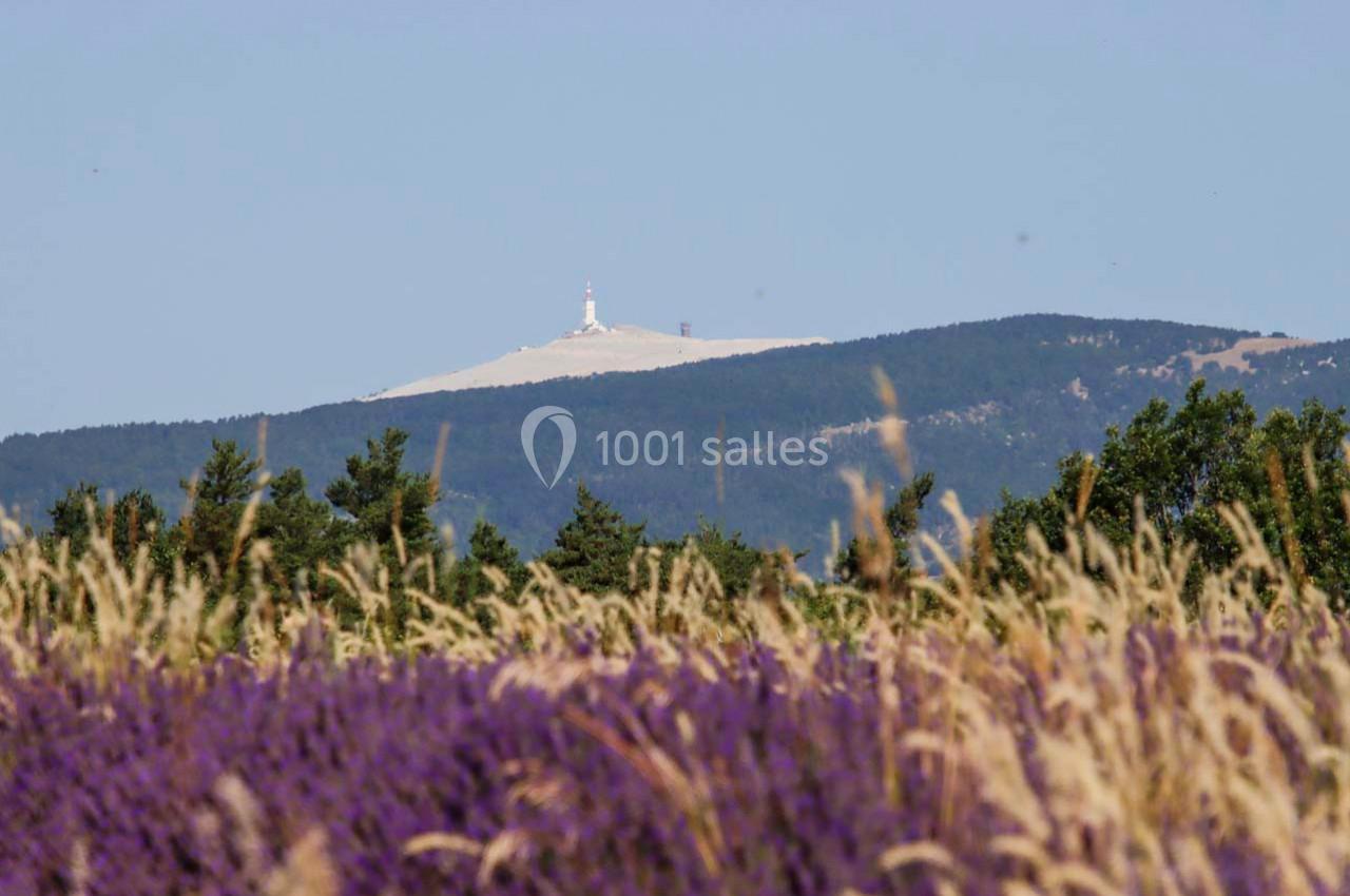 Location salle Saint-Trinit (Vaucluse) - Domaine des Maillettes #22